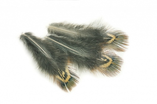 Veniard Cock Feather Pheasant Ringneck Short Green Back Fly Tying Materials